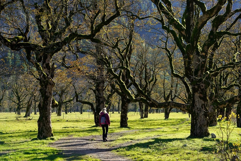 Nature Walks
